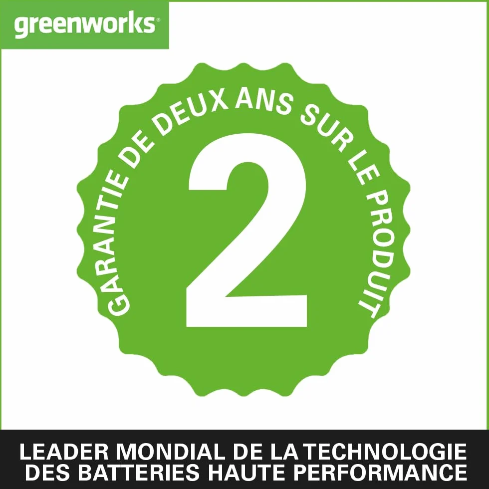 Greenworks Lot 2 batteries lithium-ion 40 V 4 Ah G40BK4X