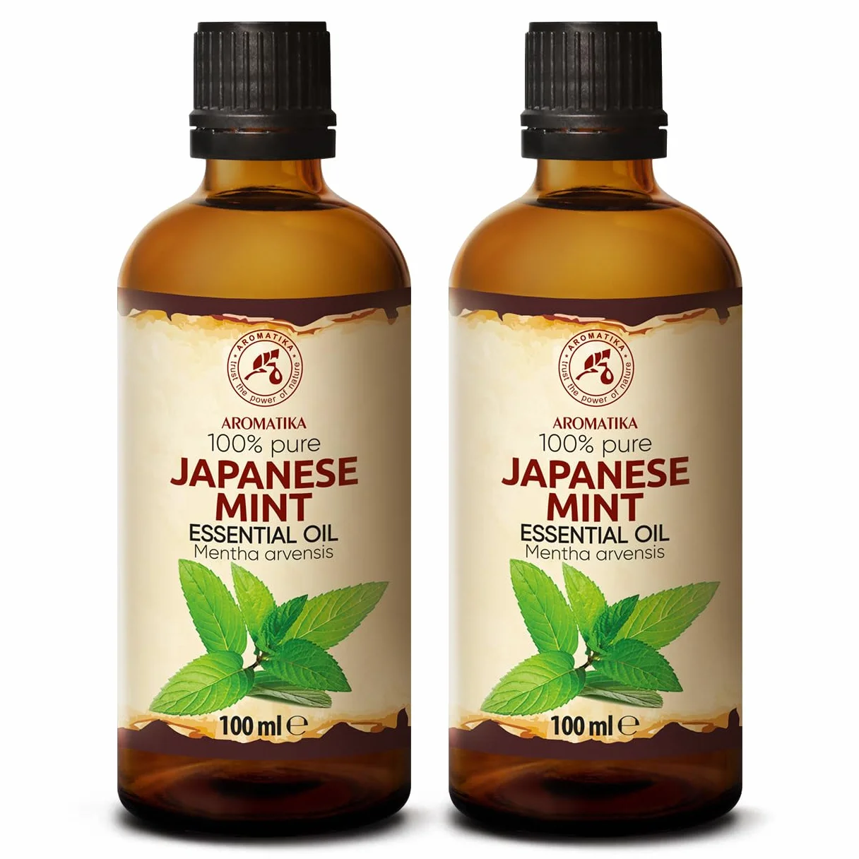 Huile Essentielle de Menthe Japonaise 2x100 ml Mentha Arvensis pour Diffuseur Aromathérapie