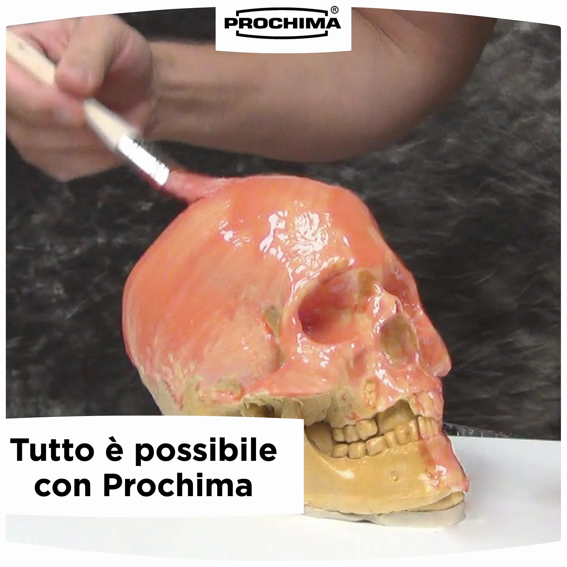 Prochima Em501 K5 Latex 1 kg