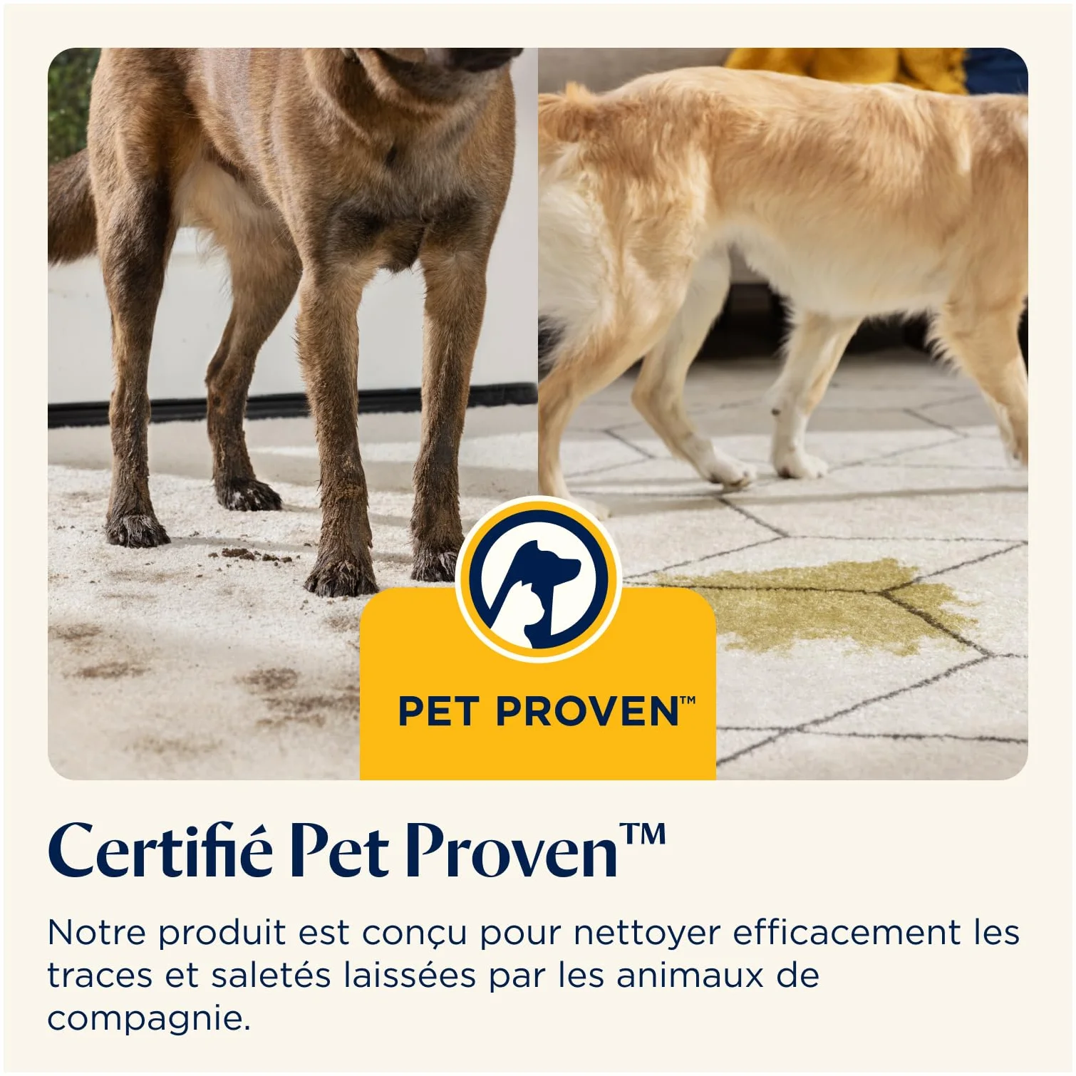 BISSELL SpotClean Pet Pro 15585, Shampouineuse Canapé 750W, Nettoyeur Tapis Moquettes Meubles Tissus Voiture