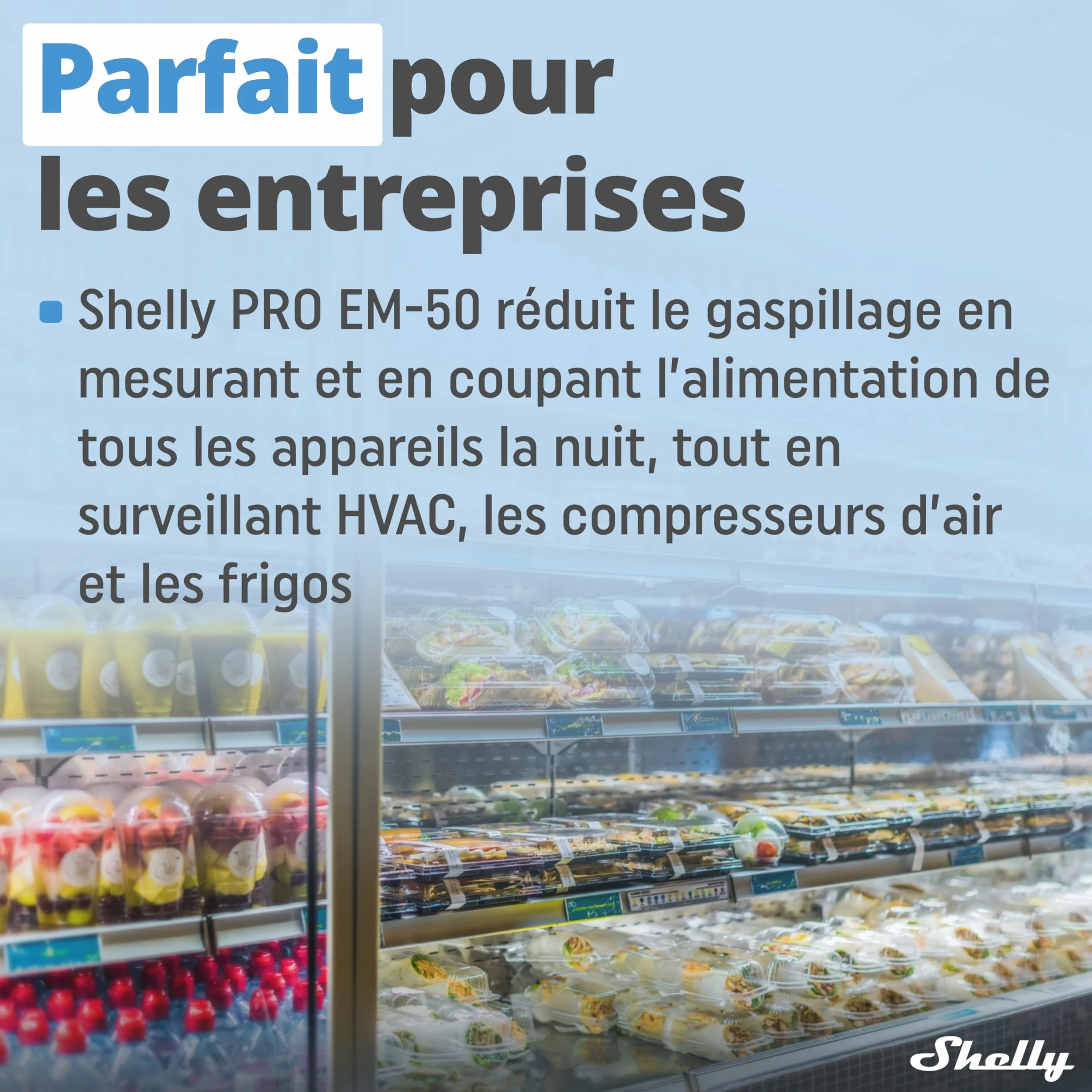 Shelly Pro EM 50A Compteur électrique monophasé 2 canaux LAN Wi-Fi Pinces ampermétriques incluses
