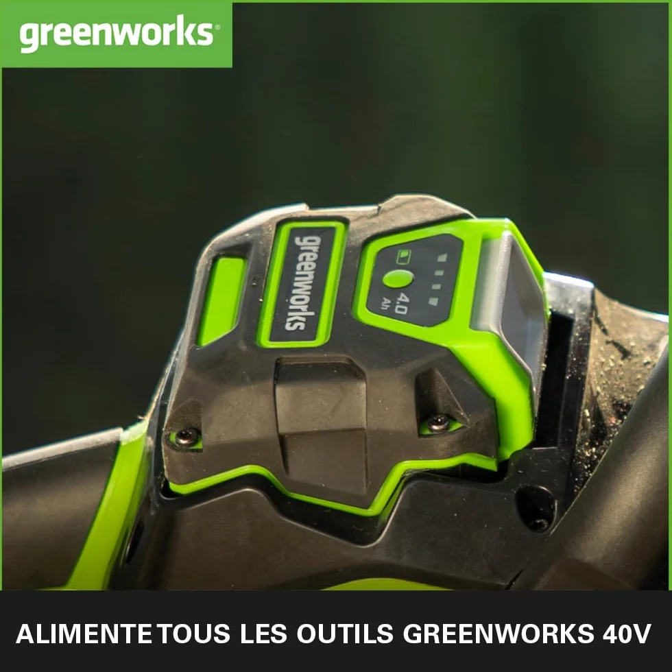 Greenworks Lot 2 batteries lithium-ion 40 V 4 Ah G40BK4X