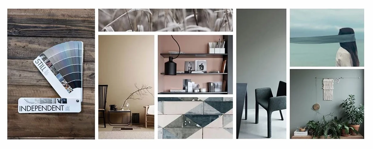 NCS Inspire 1058 Nuancier professionnel pour décoration intérieure, industrie du revêtement