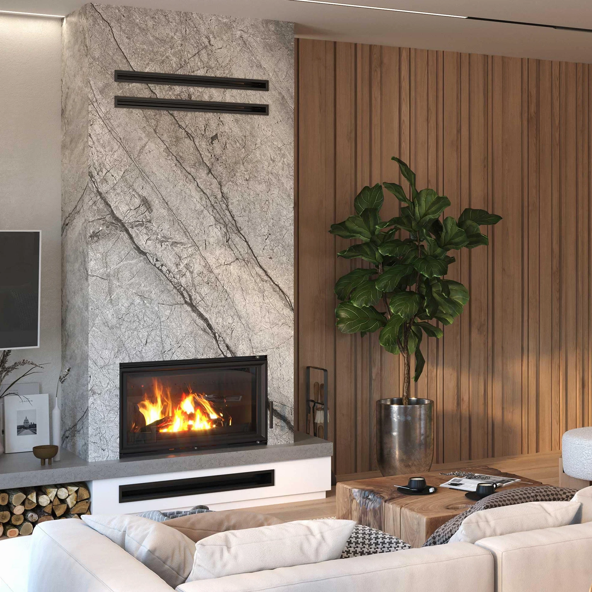 Insert en fonte pour cheminée à bois W15 16,3 kW ECO