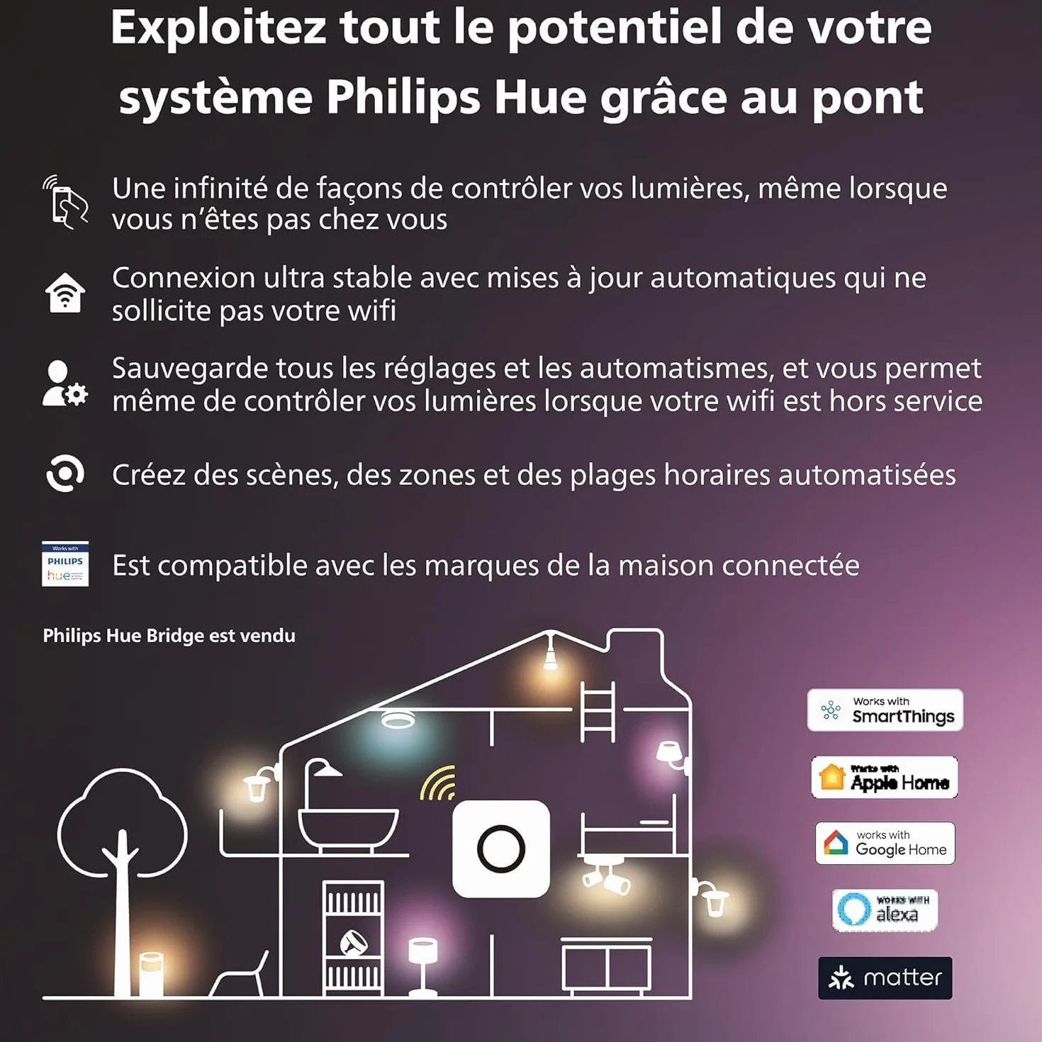 Philips Hue Module d'interrupteur mural Pack de 2 Blanc compatibile Alexa Google Assistant Apple HomeKit