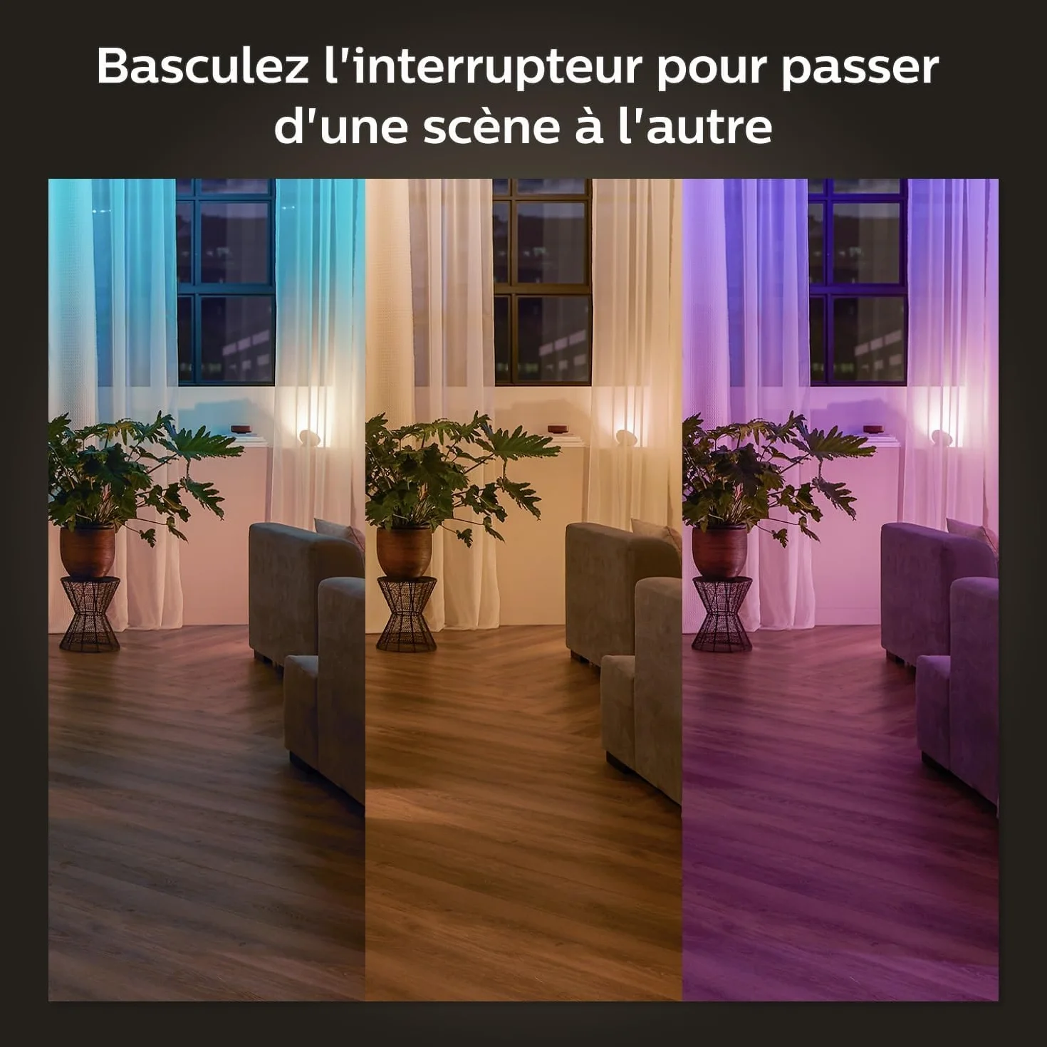 Philips Hue Module d'interrupteur mural Pack de 2 Blanc compatibile Alexa Google Assistant Apple HomeKit