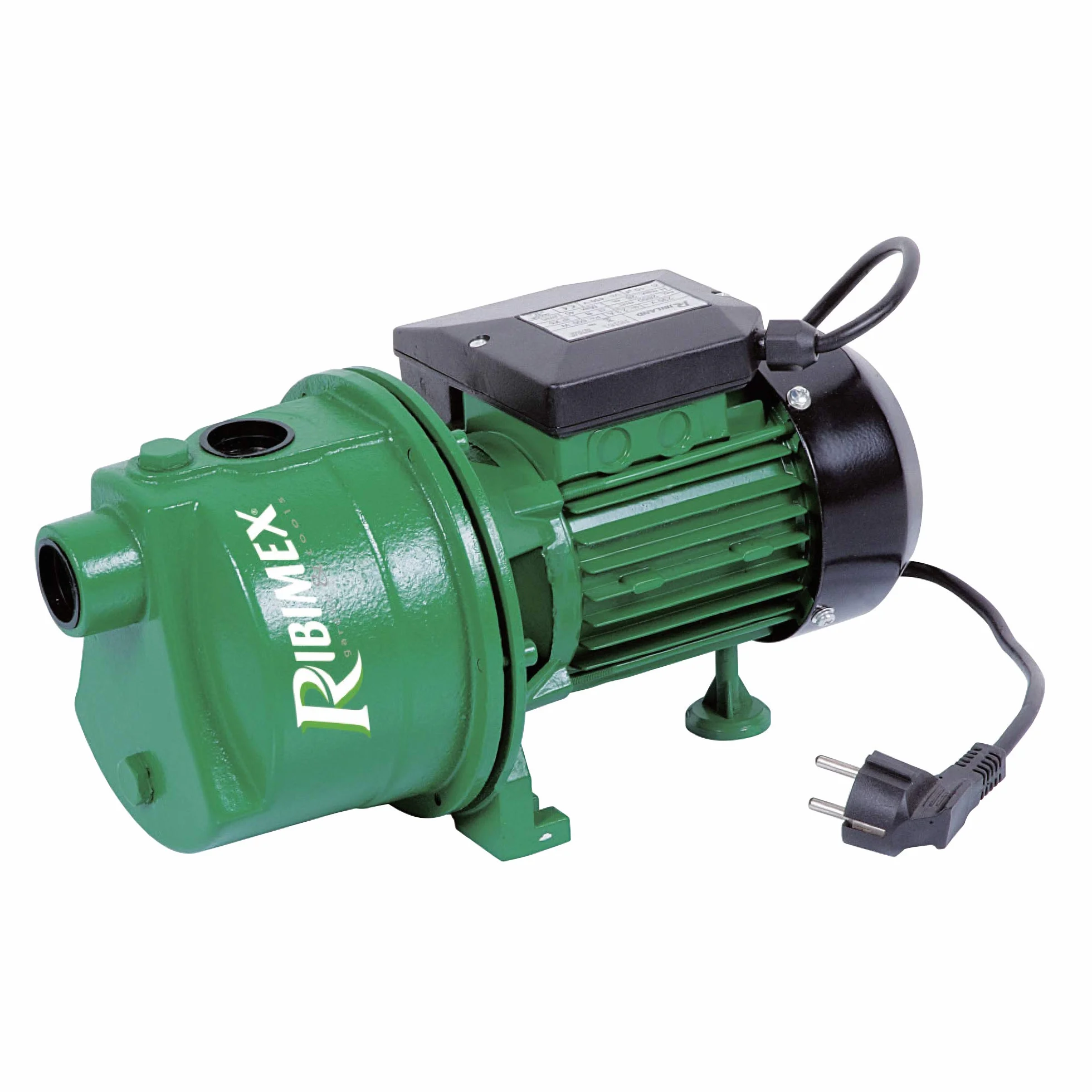 Ribiland 04201 Pompe à Eau de Surface 1180 W Vert