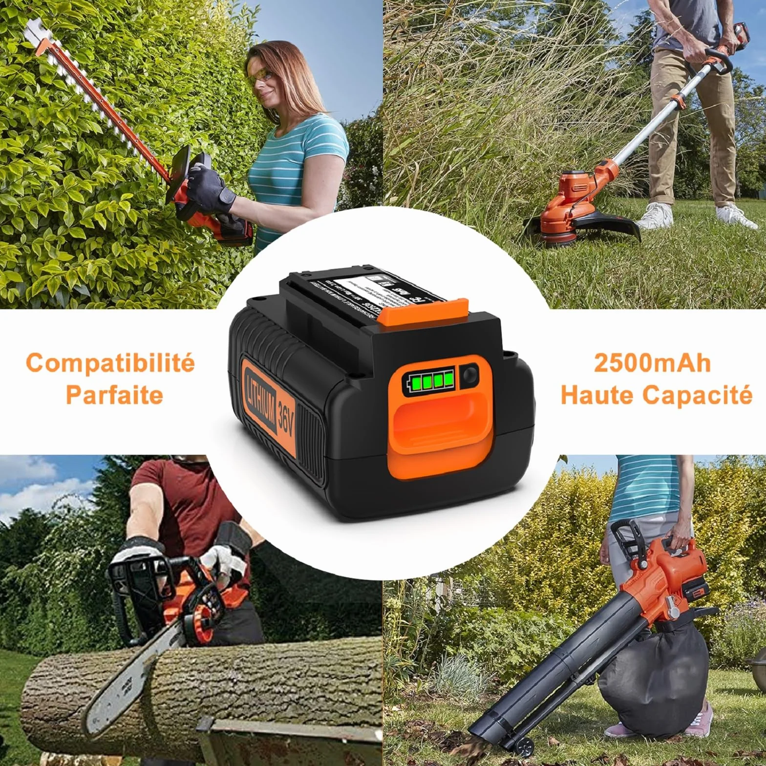 ENERGUP Batterie 36V 2500mAh pour Black et Decker LBX2040 BL20362 BL2536