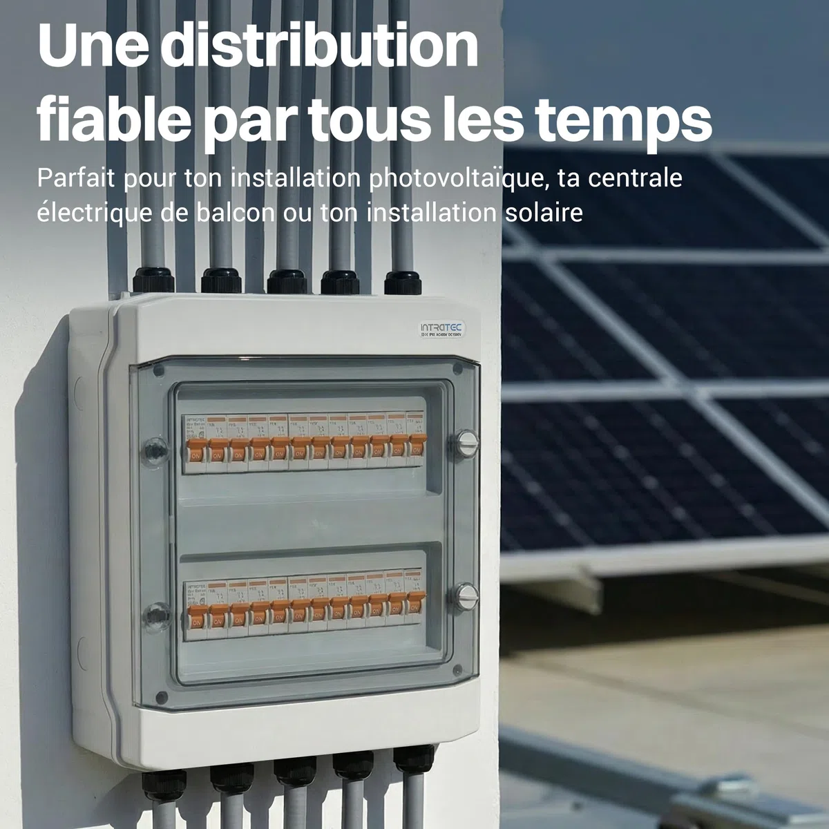 Intratec Coffret de Distribution en Saillie 2 Rangée IP65 24 Modules DIN 400VAC 1500VDC 318 x 384 x 144 mm