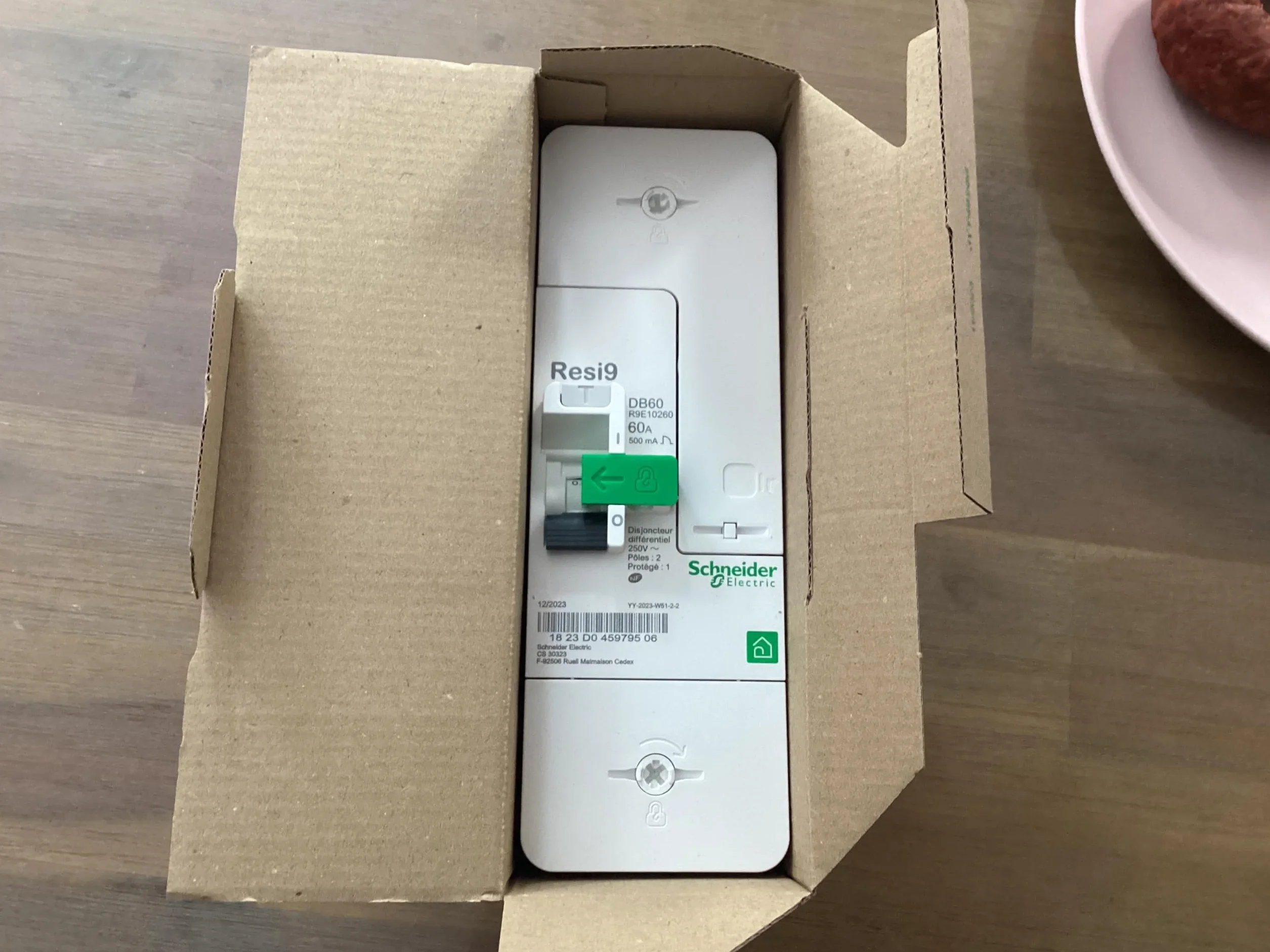 Schneider Disjoncteur R9E10260 DB60 60A 500mA