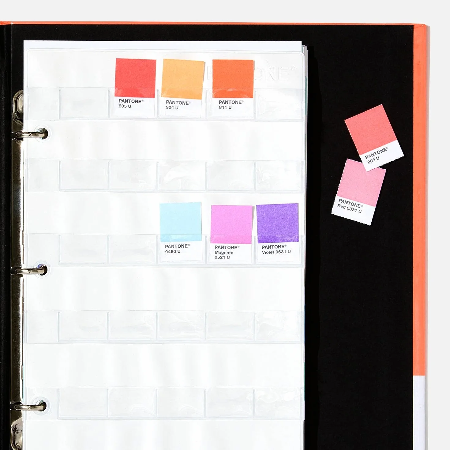 Pantone GB1504A Carnet de puces pastel et néon 2019