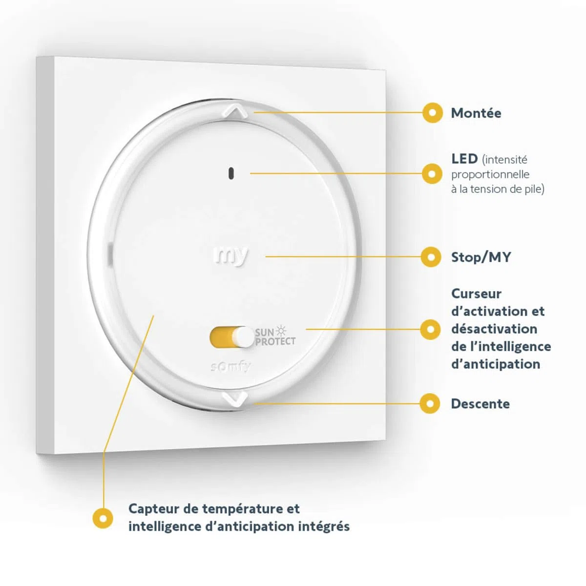 Somfy Télécommande émetteur Amy Sun Protect io Capteur de Température Compatible Tahoma Switch