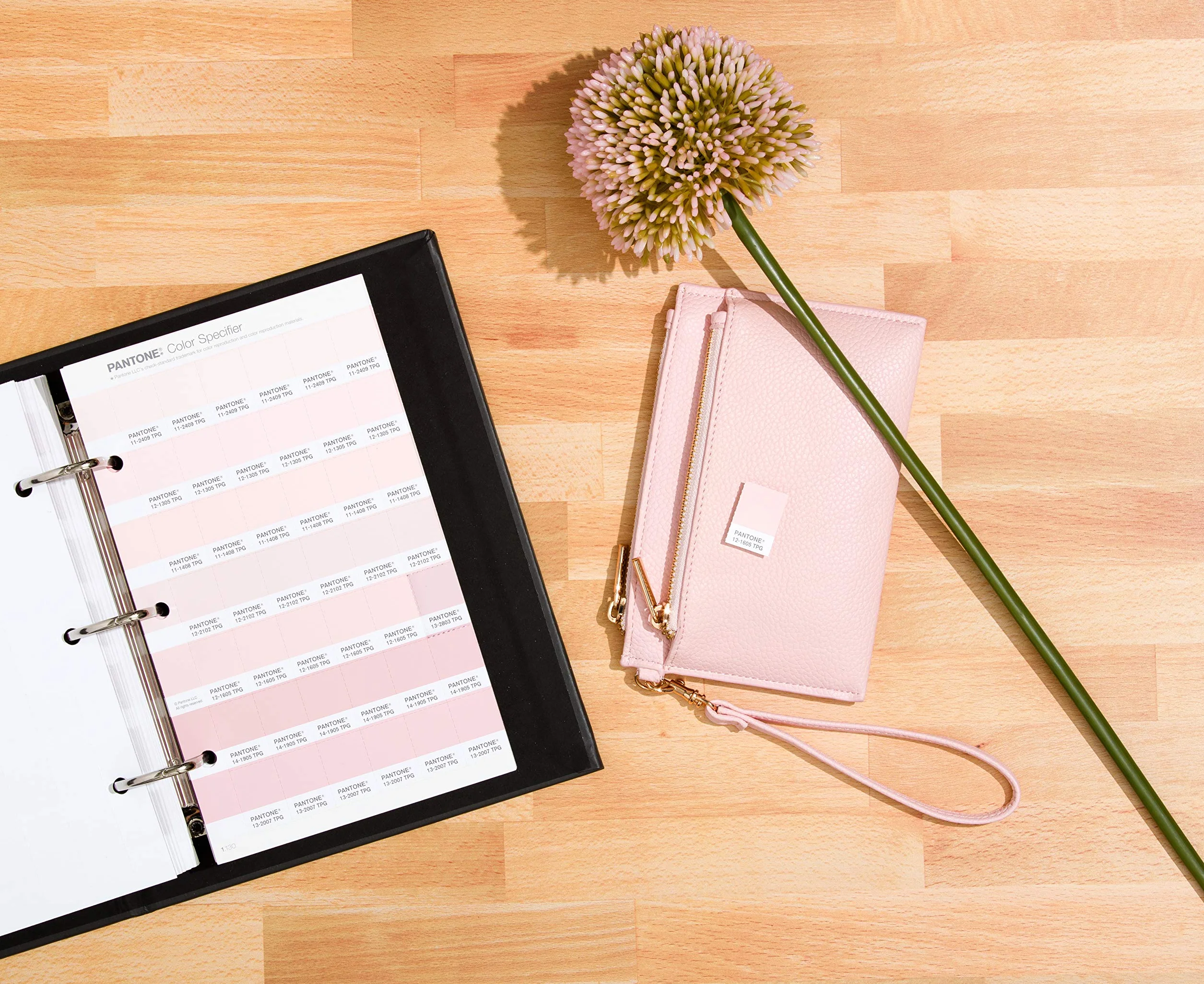 PANTONE FHIP210A Colour Specifier avec échantillons détachables