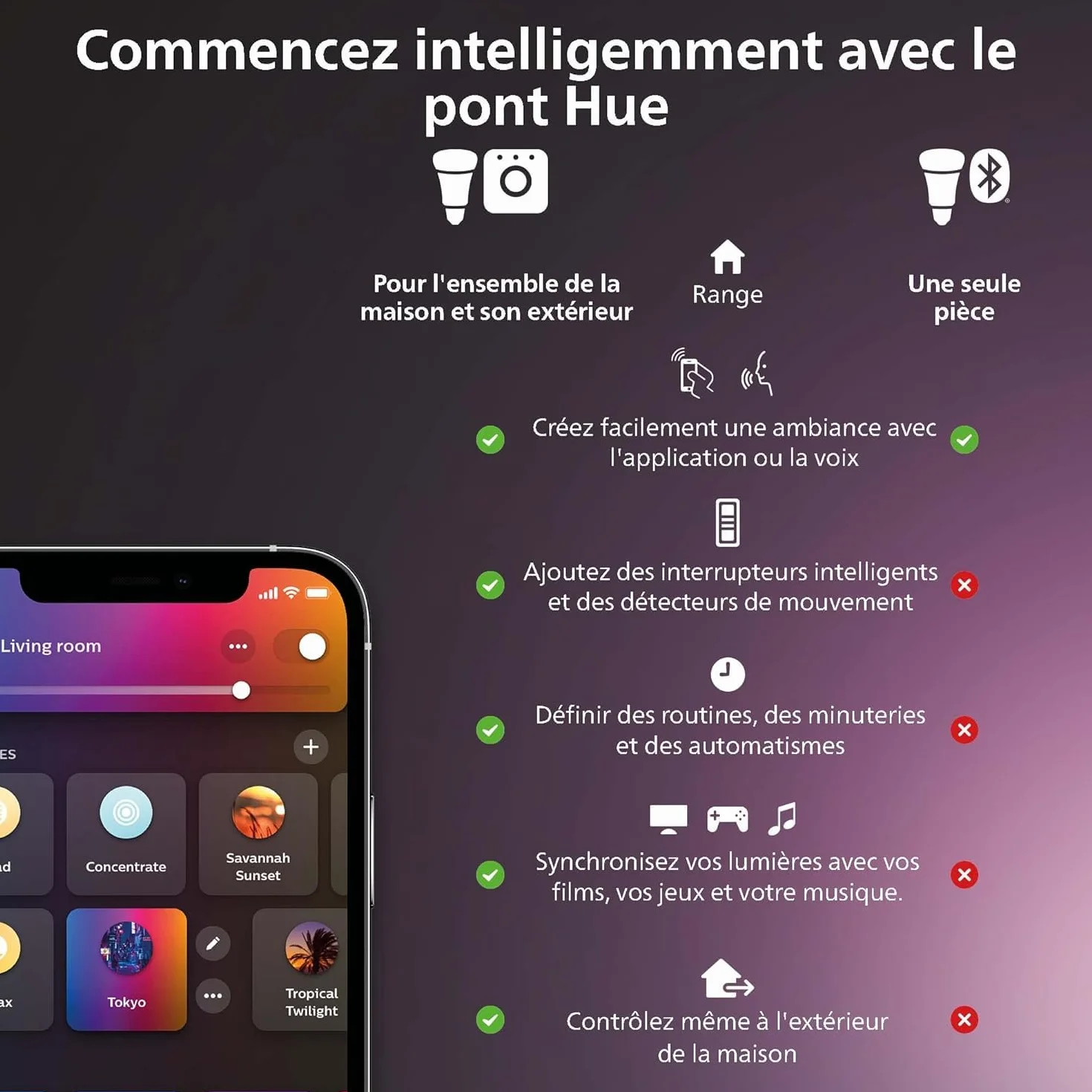Philips Hue Module d'interrupteur mural Blanc compatible Alexa Google Assistant Apple Homekit