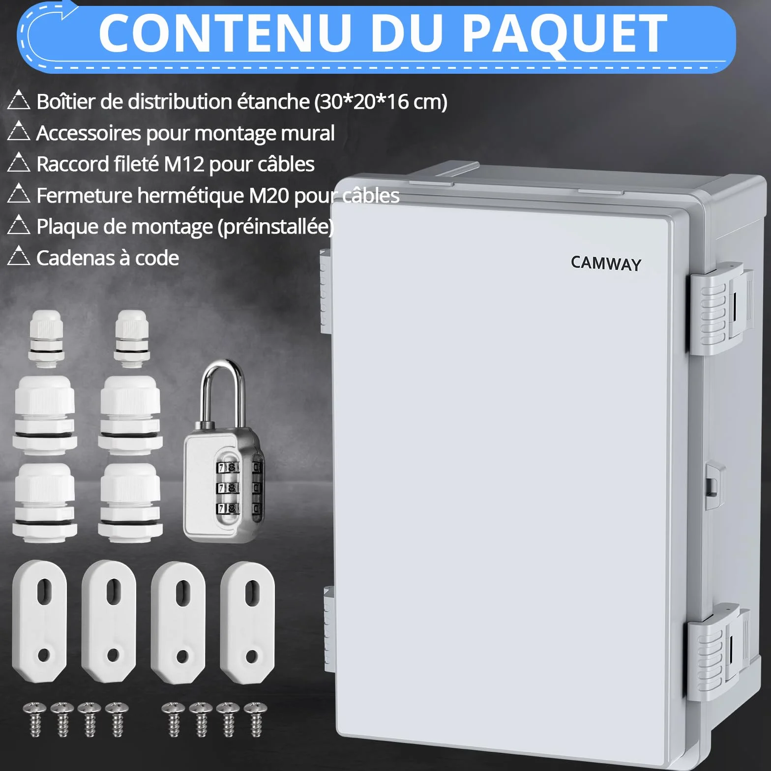 CAMWAY Coffret Electrique Etanche Exterieur ABS Renforcé 3mm Boîte de Jonction IP67 30x20x16cm
