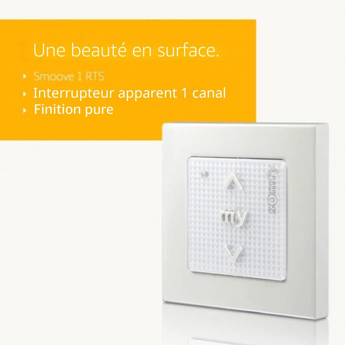 Somfy Smoove RTS Interrupteur mural sans fil 1 canal