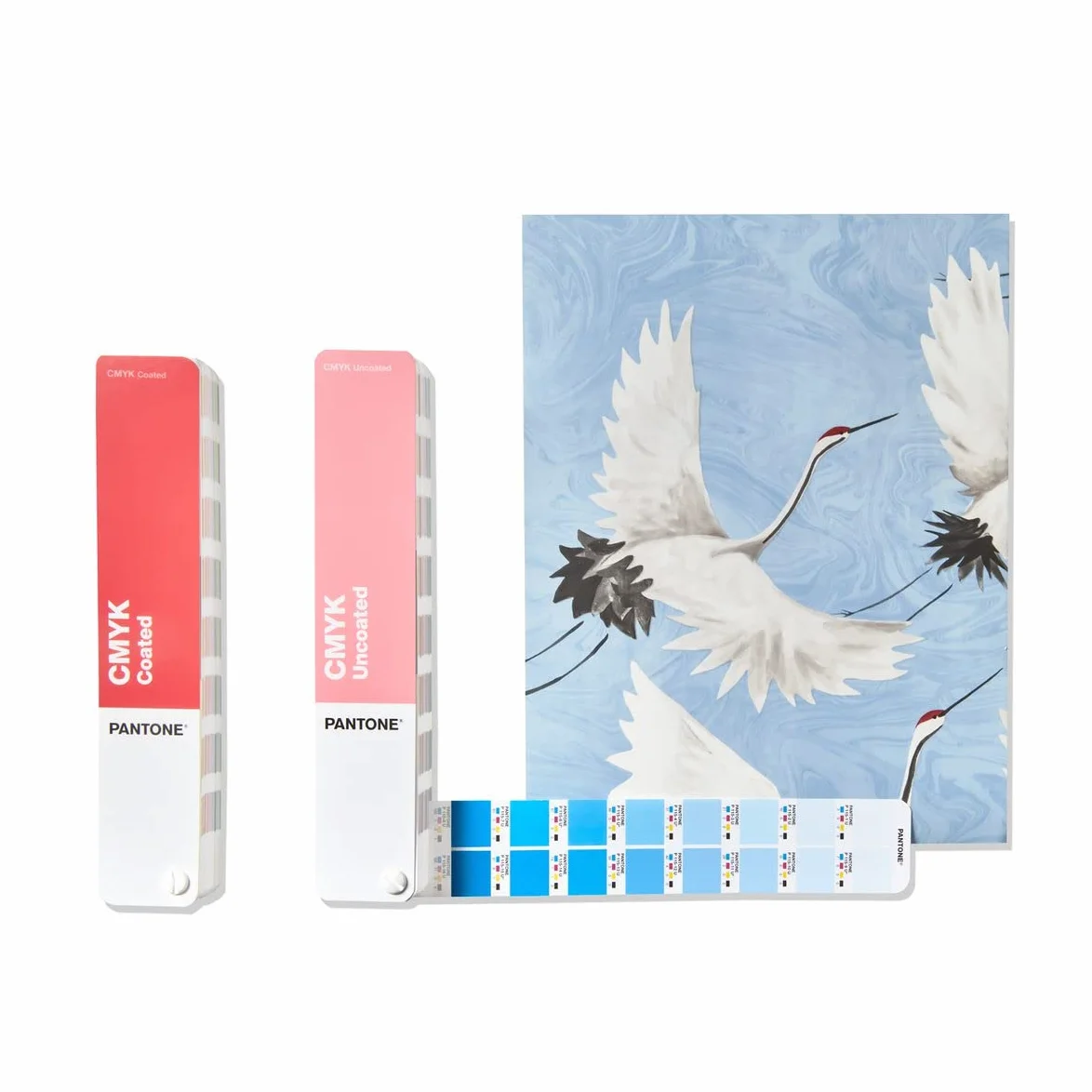 Pantone CMYK GP5101C Guide de couleur avec revêtement et brut